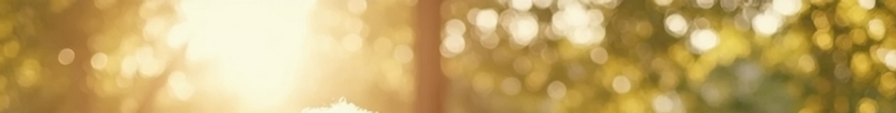 Julie Canu Sophrologue